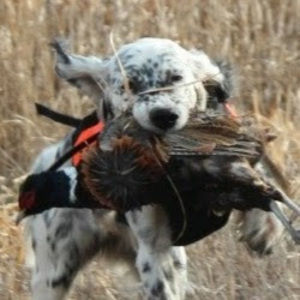 Meet your Posher, Deb